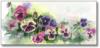 Pansies (Watercolor): оригинал