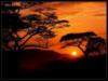 Africa Sunset: оригинал