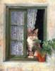 Схема вышивки «Котик на окне»