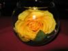 Схема вышивки «Желтая роза в бокале»