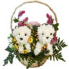 Схема вышивки «Flowers in Basket»