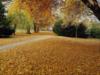Осенний парк: оригинал