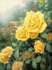 Жёлтые розы: оригинал