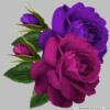 Схема вышивки «Изумительные розы»