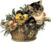 Cat in a Basket: оригинал