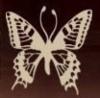 Схема вышивки «Бабочка, графика»