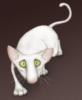 Схема вышивки «Трусливый белый кот»