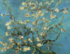 Ван Гог Ветви цветущего миндаля: оригинал