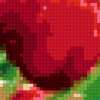 Красные тюльпаны: предпросмотр