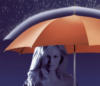 Женщина под зонтом: оригинал