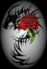 Схема вышивки «Дракон и роза.»