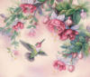 Схема вышивки «Колибри и цветы»