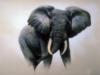 Схема вышивки «Африканский слон»