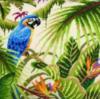 Схема вышивки «Подушка Тропический попугай»