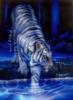 Схема вышивки «Тигр у воды»