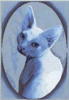 Схема вышивки «Голубая кошка»