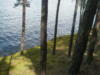Озеро Боровое: оригинал