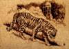 Бежевый тигр: оригинал