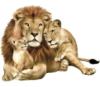 Схема вышивки «Львы»