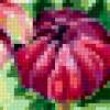 Подушка Хризантемы: предпросмотр