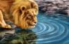 Схема вышивки «Лев у воды»