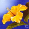 Подушка Желтый цветок: оригинал