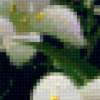Подушка цветы: предпросмотр
