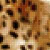 Подушка леопард: предпросмотр