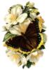Схема вышивки «Цветок и бабочка»