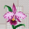 Схема вышивки «Орхидея Подушка и картина»