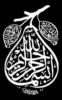 Схема вышивки «Arabic Calligraphy»