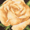 Схема вышивки «Подушка Желтая роза»