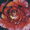 Схема вышивки «Подушка Бордовая роза»