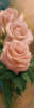 Схема вышивки «Розовые розы (лев. часть)»