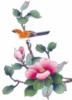 Схема вышивки «Серия"Цветы и птицы"»