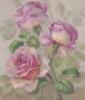 Схема вышивки «Восхитительные розы»