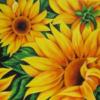 Схема вышивки «Подушка Солнечные цветы»