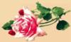 Схема вышивки «Одинокая розовая роза»