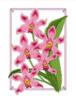 Схема вышивки «Дикая орхидея»