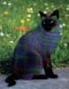 Схема вышивки «Серия Крашеные кошки»