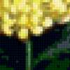 Букет желтых цветов: предпросмотр