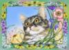 Котик и полевые цветы: оригинал