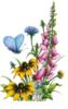 Цветы и бабочка: оригинал
