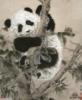 Схема вышивки «Панда на бамбуке»