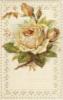 Схема вышивки «Одинокая белая роза»