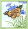 Схема вышивки «Подушка "цветы и бабочка"»