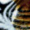 Подушка тигр: предпросмотр