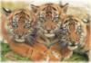 Схема вышивки «Три тигренка»