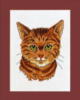 Схема вышивки «Портрет рыжего кота»