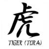 Схема вышивки «Иероглиф " тигр "»